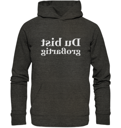 Du bist großartig - Spiegelschrift - Hochwertiger Unisex Bio Hoodie 9 Spiegelgewand - Reiche deinem Spiegelbild die Hand - front organic hoodie 1b1c1a 1116x 1