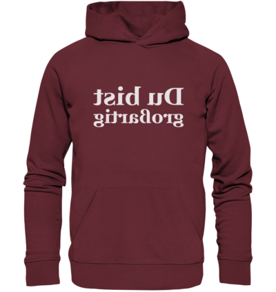 Du bist großartig - Spiegelschrift - Hochwertiger Unisex Bio Hoodie 8 Spiegelgewand - Reiche deinem Spiegelbild die Hand - front organic hoodie 672b34 1116x 1