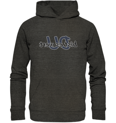 Spiegelgewand - Reiche deinem Spiegelbild die Hand - front organic hoodie 1b1c1a 1116x 11