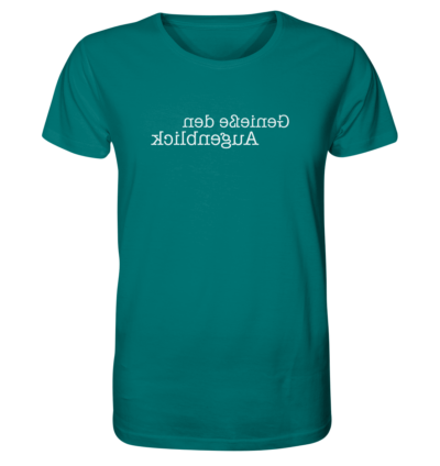 Spiegelgewand - Reiche deinem Spiegelbild die Hand - front organic shirt 007373 1116x 14