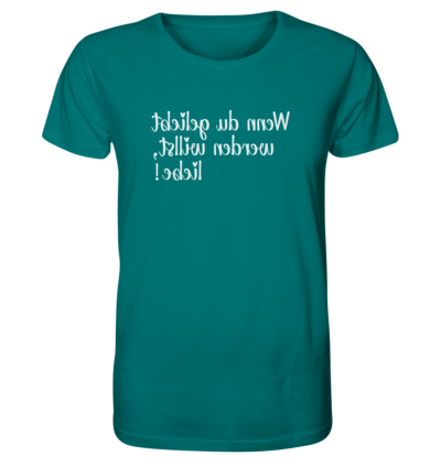 Spiegelgewand - Reiche deinem Spiegelbild die Hand - front organic shirt 007373 1116x 69